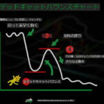 日本株の暴落後の急上昇はデッドキャットバウンス？一時的に日本株が上昇する(かも)しれない理由。