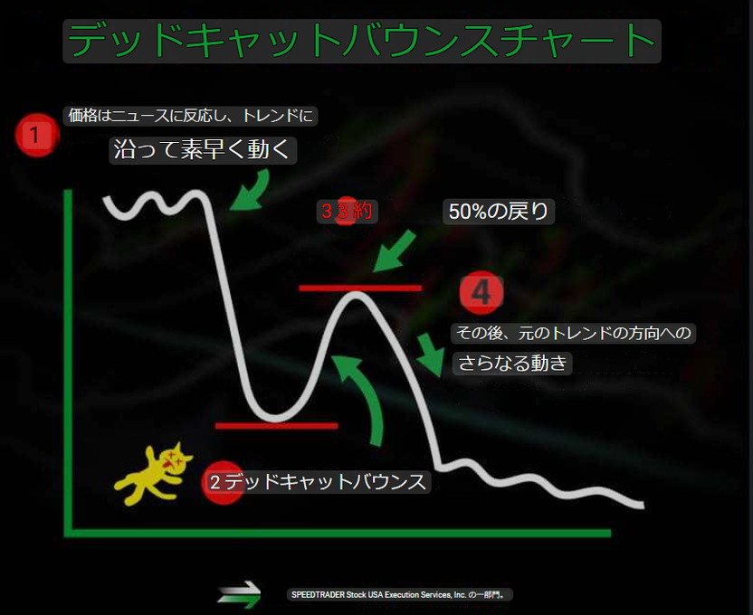 日本株の暴落後の急上昇はデッドキャットバウンス？一時的に日本株が上昇する(かも)しれない理由。